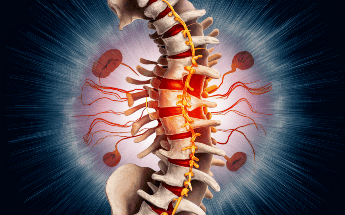 Common Symptoms and Conditions Related to Subluxations